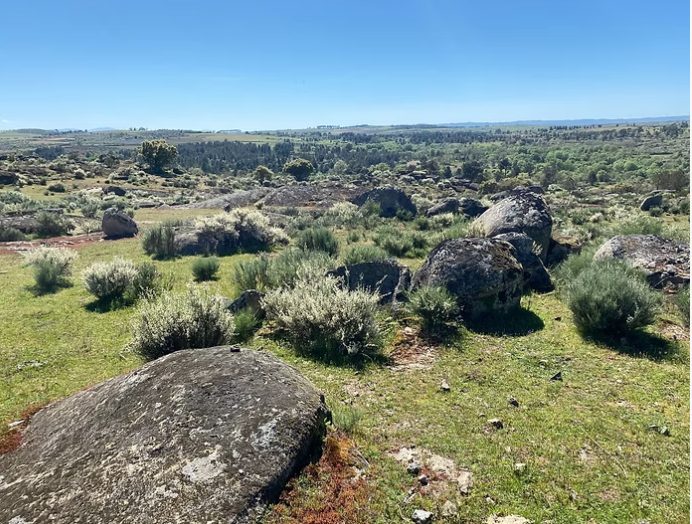 Wijngaarden in Beira Interior, Portugal, met stenen muren en een blauwe lucht