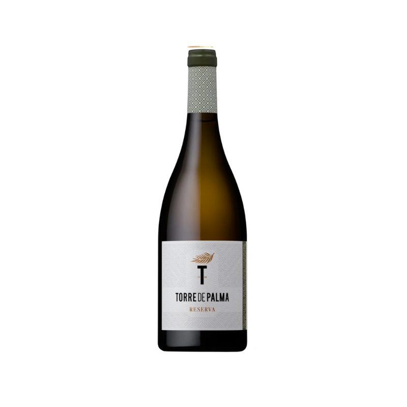torre de palma branco reserva Portugese witte wijn Alentejo
